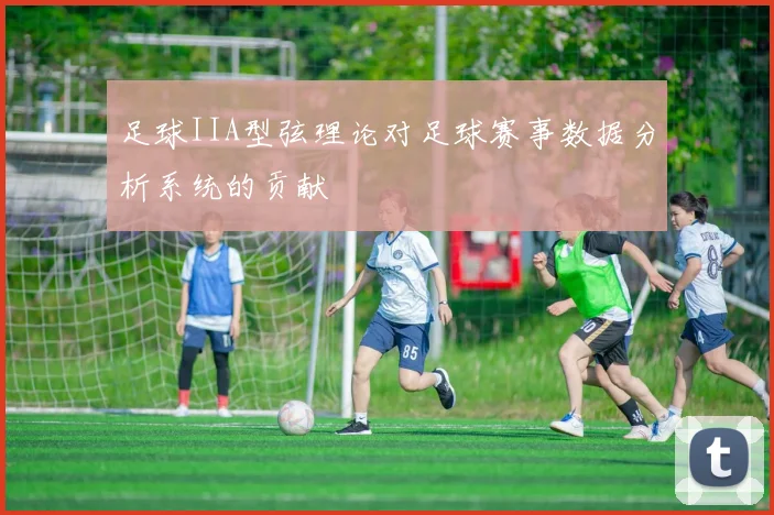 足球IIA型弦理论对足球赛事数据分析系统的贡献