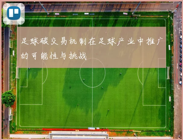 足球碳交易机制在足球产业中推广的可能性与挑战