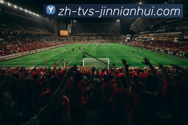 金年会体育发展历程